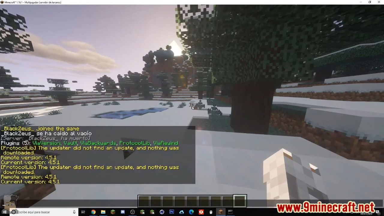 ProtocolLib enabling custom entity display in Minecraft